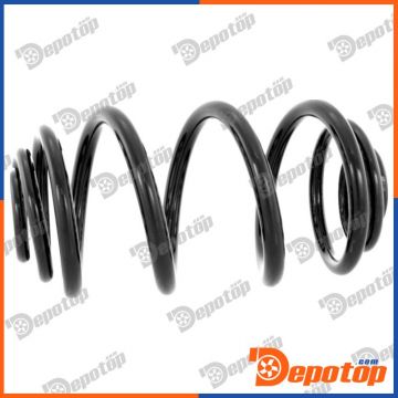 Ressorts de suspension arrière pour RENAULT | 2120291, 4263476